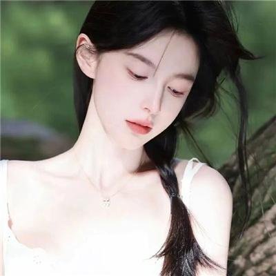 大清后宫